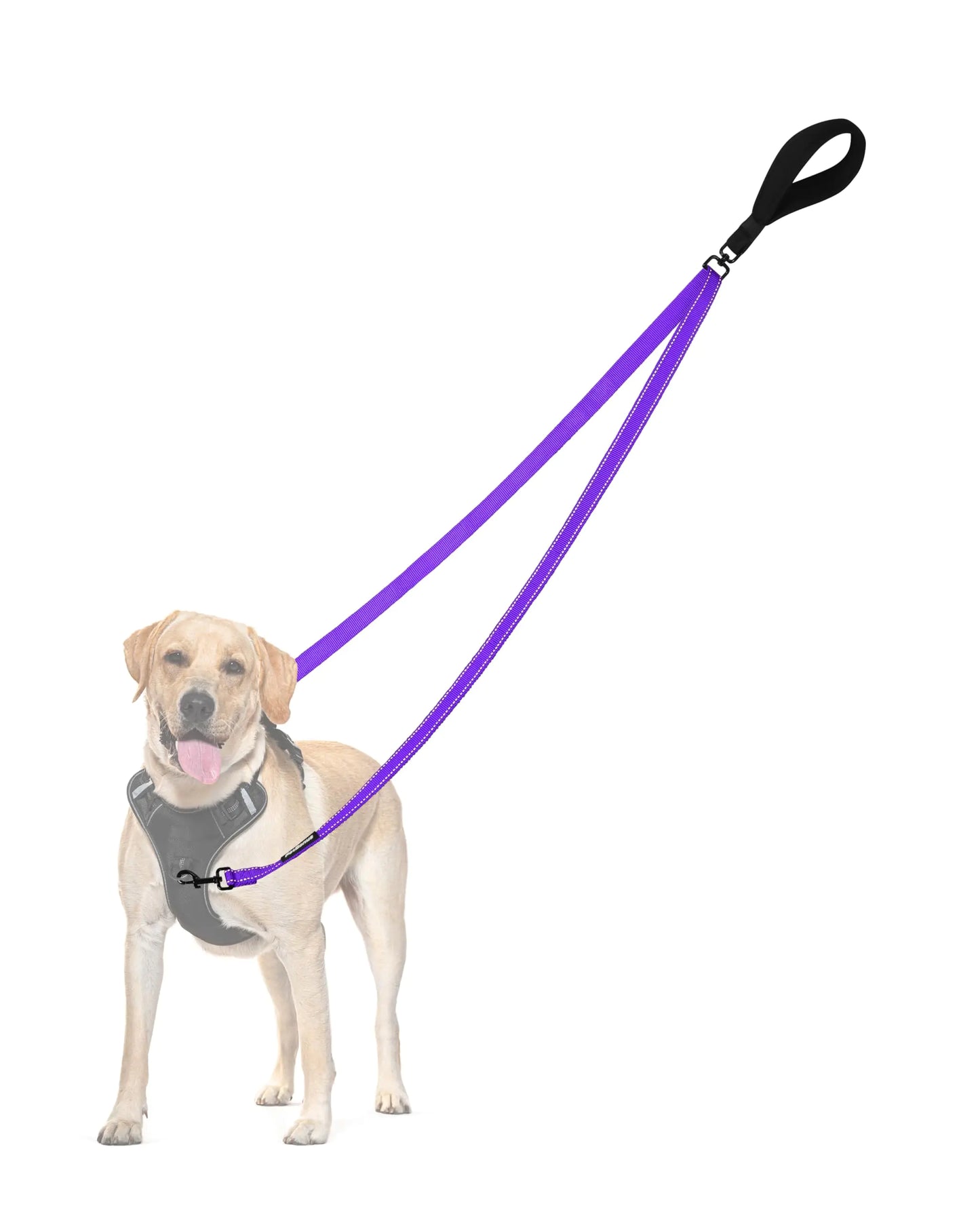 PetBonus Two Point Control Dog Leash