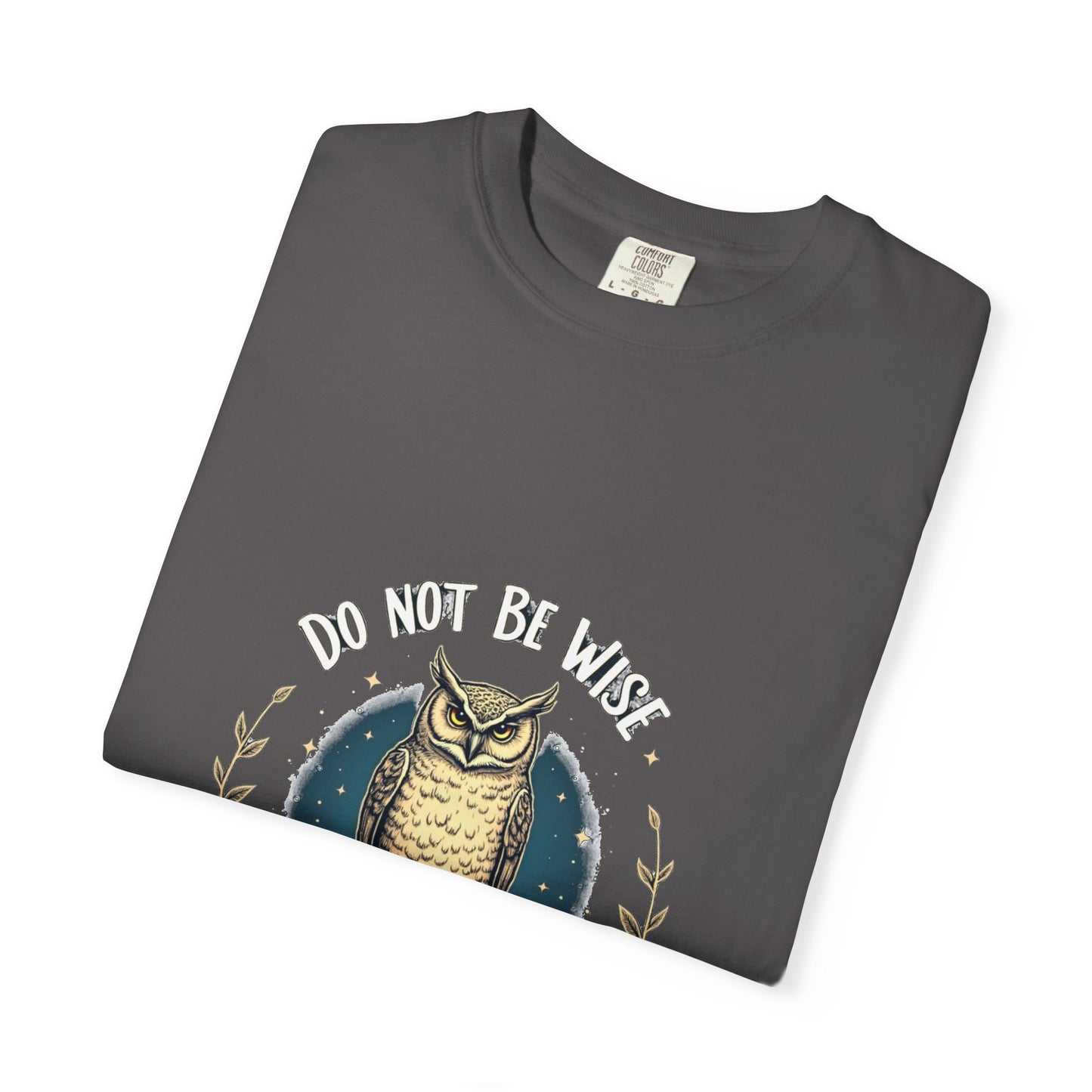Inspirational Owl T-Shirt