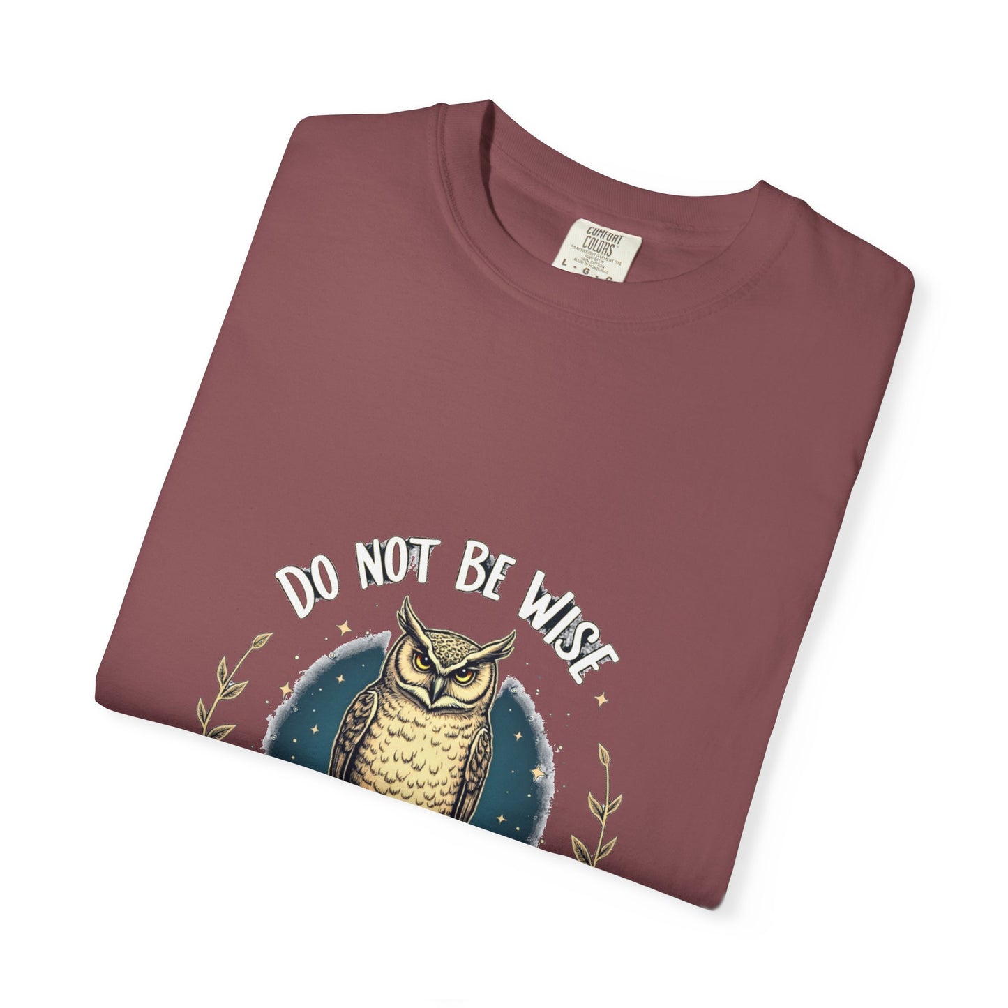 Inspirational Owl T-Shirt