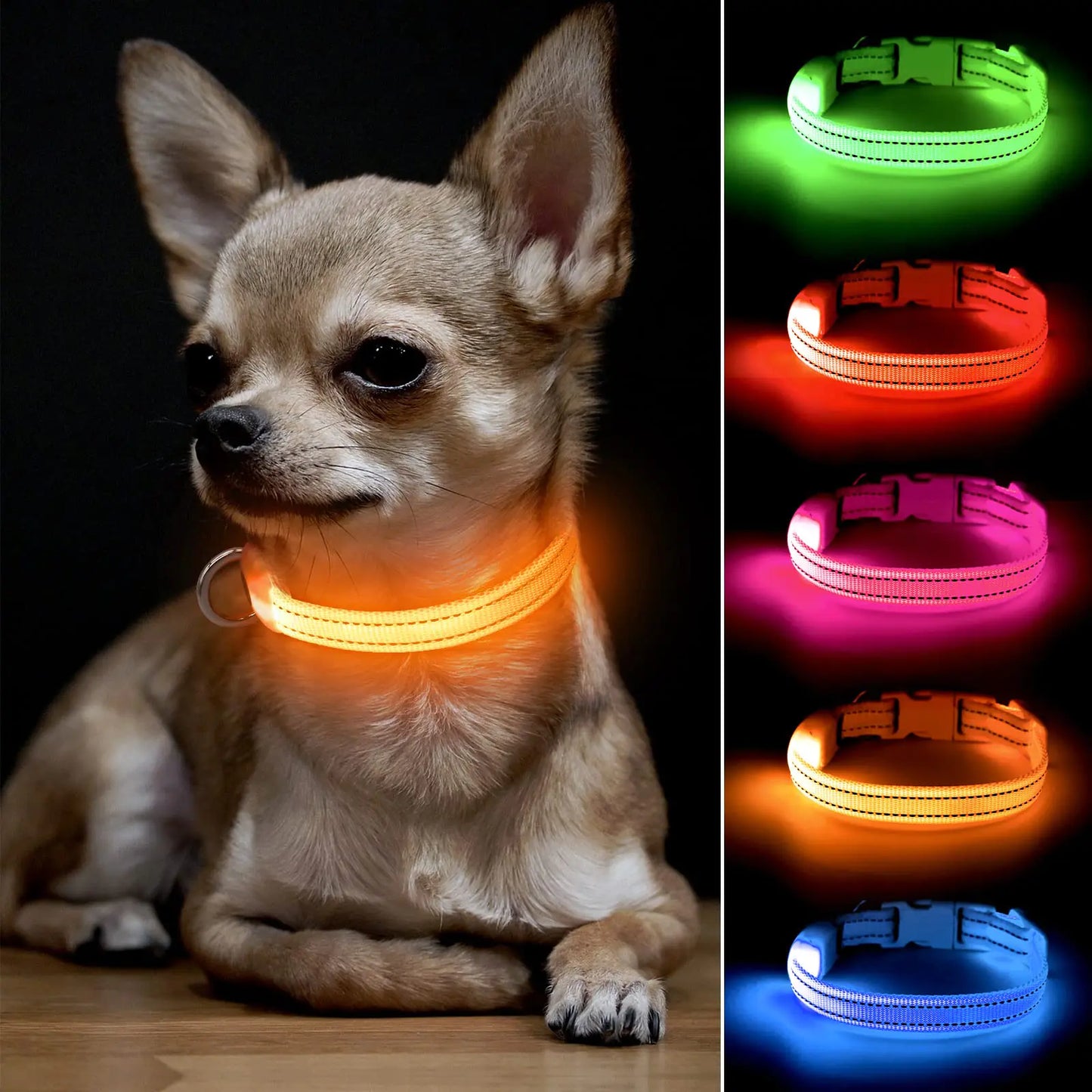 BSEEN Light Up Dog Collars for Small Dogs