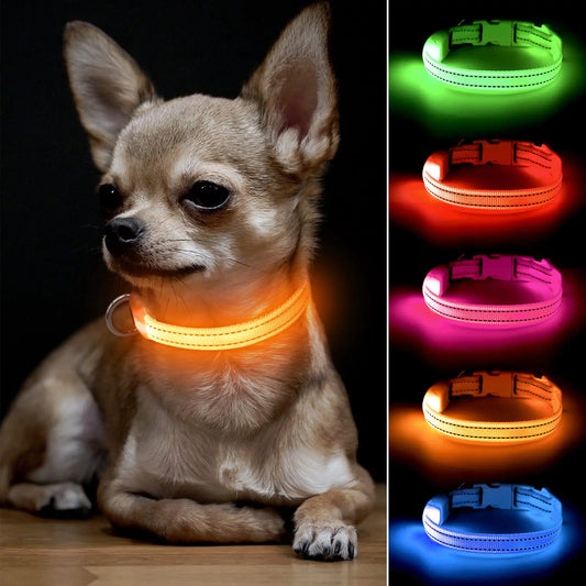 BSEEN Light Up Dog Collars for Small Dogs